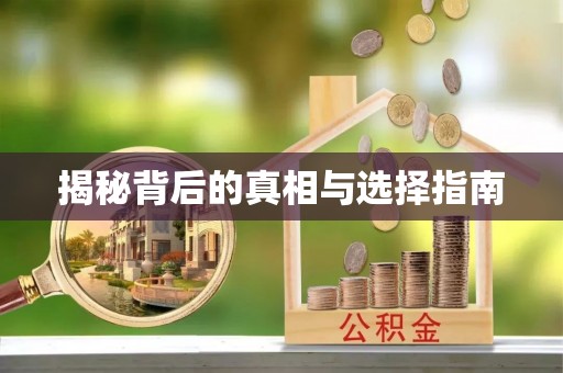 红山揭秘背后的真相与选择指南