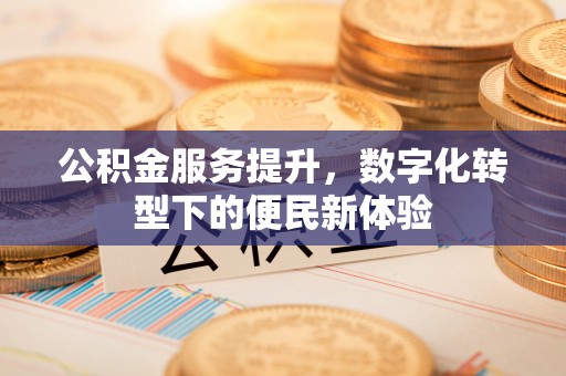 红山公积金服务提升，数字化转型下的便民新体验