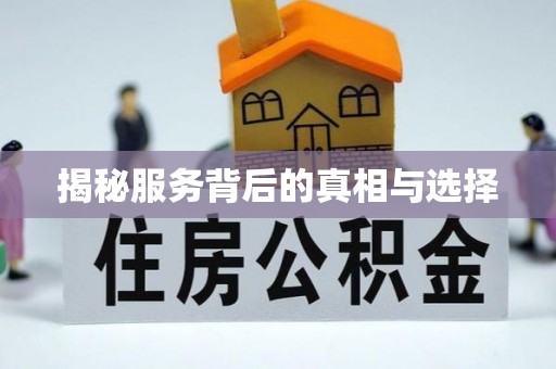红山揭秘服务背后的真相与选择